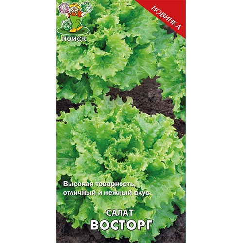 Салат листовой Восторг Поиск изображение 1 артикул 92807