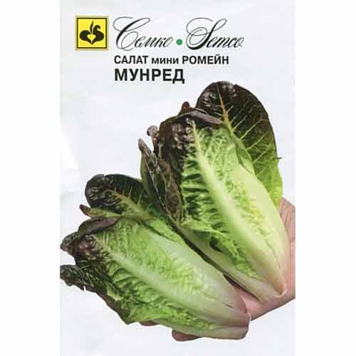 Салат кочанный мини ромейн Мунред Семко артикул фото 1 Салат кочанный мини ромейн Мунред Семко изображение 1 артикул 71938