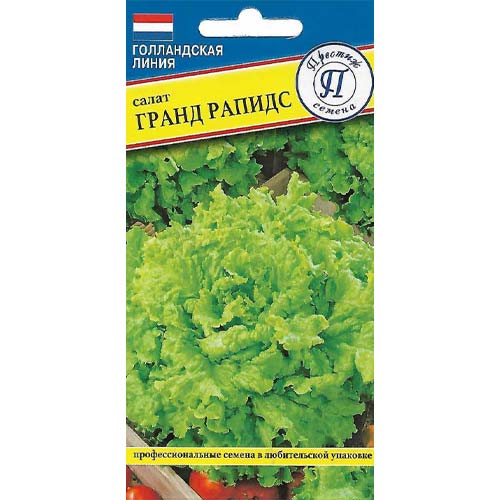 Салат полукочанный Гранд Рапидс Престиж изображение 1 артикул 97949