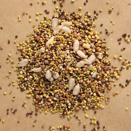 Салатный микс Никольские Проростки Иммунитет, смесь сортов артикул фото 2 Салатный микс Никольские Проростки Иммунитет, смесь сортов изображение 2 артикул 83480