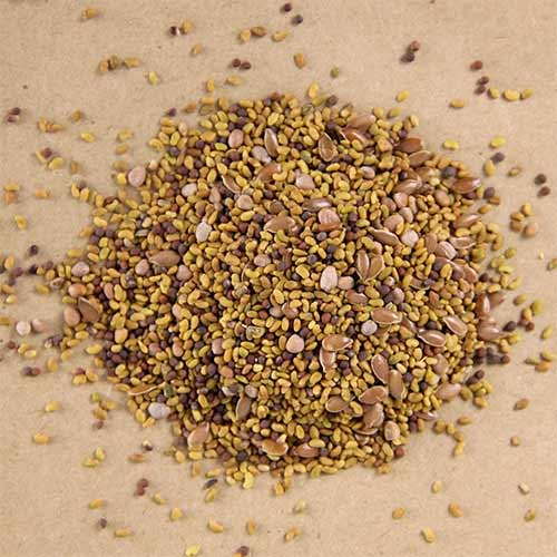 Салатный микс Никольские Проростки Молодость, смесь сортов артикул фото 2 Салатный микс Никольские Проростки Молодость, смесь сортов изображение 2 артикул 83477