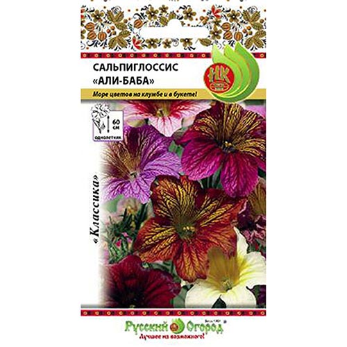 Сальпиглоссис Али-Баба, смесь окрасок НК изображение 1 артикул 92629