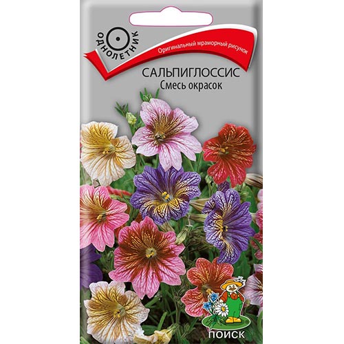 Сальпиглоссис, смесь окрасок Поиск изображение 1 артикул 93112