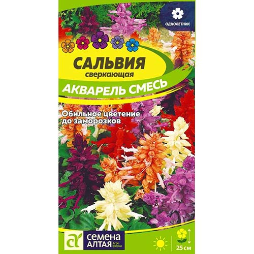 Сальвия Акварель, смесь окрасок Семена Алтая артикул фото 1 Сальвия Акварель, смесь окрасок Семена Алтая изображение 1 артикул 84772