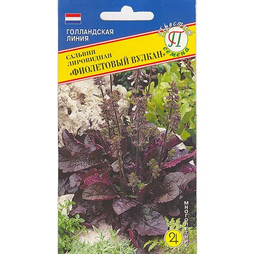 Сальвия Фиолетовый вулкан Престиж изображение 1 артикул 93242