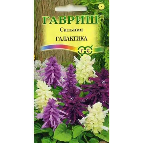 Сальвия Галактика, смесь окрасок Гавриш изображение 1 артикул 92215