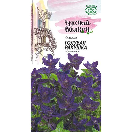 Сальвия Голубая ракушка Гавриш изображение 1 артикул 92216