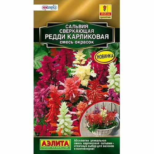Сальвия карликовая Редди, смесь окрасок Аэлита изображение 1 артикул 99147