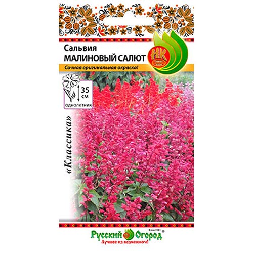 Сальвия Малиновый салют F1 НК артикул фото 1 Сальвия Малиновый салют F1 НК изображение 1 артикул 92624