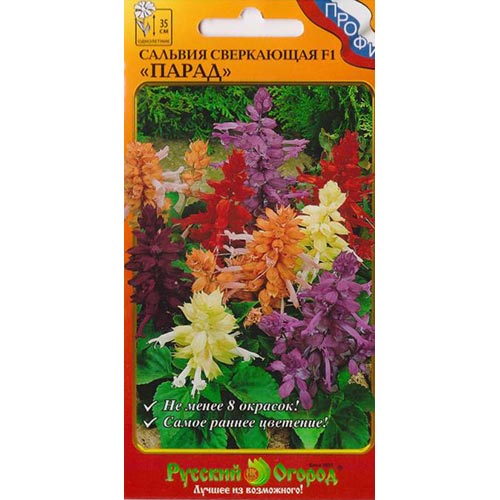 Сальвия Парад F1, смесь окрасок НК изображение 1 артикул 92626