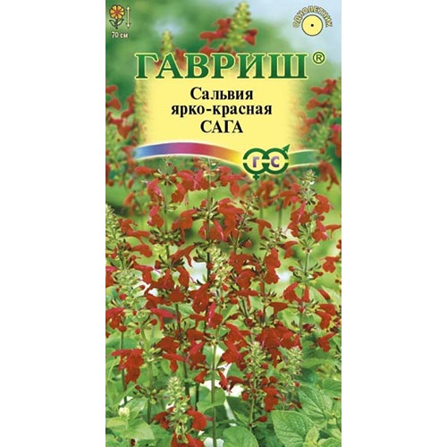 Сальвия Сага Гавриш изображение 1 артикул 92218