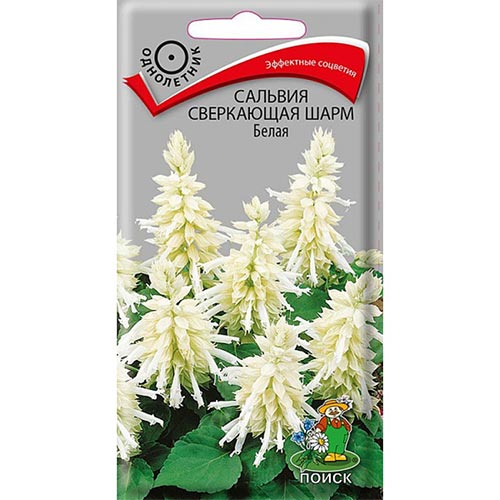 Сальвия Шарм Белая Поиск изображение 1 артикул 93110