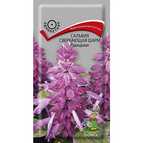 Сальвия Шарм Лавандовая Поиск изображение 1 артикул 93111