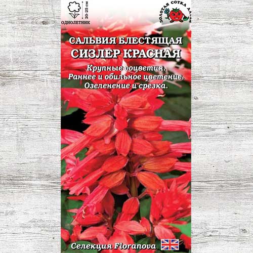 Сальвия Сизлер красная изображение 1 артикул 83670