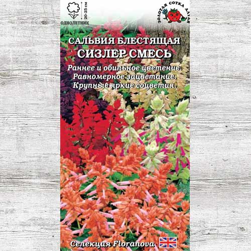 Сальвия Сизлер, смесь окрасок изображение 1 артикул 83672