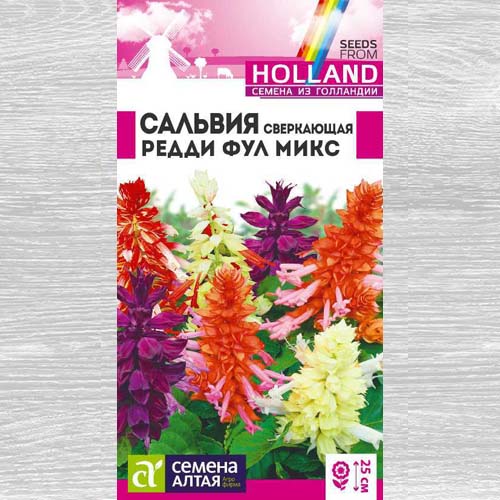 Сальвия Редди Фул, смесь окрасок артикул фото 1 Сальвия Редди Фул, смесь окрасок изображение 1 артикул 78318