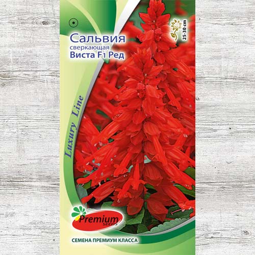 Сальвия Виста Ред F1 изображение 1 артикул 83964