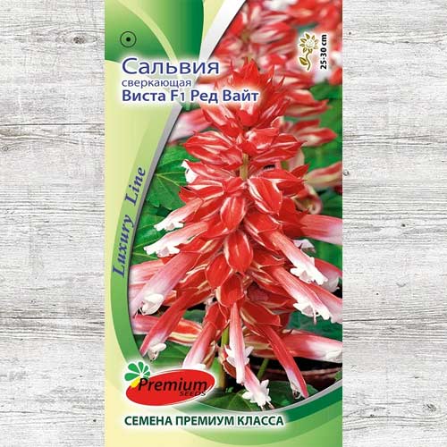 Сальвия Виста Ред Вайт F1 изображение 1 артикул 83965