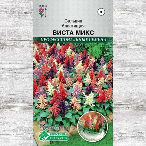 Сальвия Виста, смесь окрасок изображение 1 артикул 83466