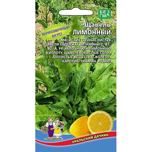 Щавель Лимонный Уральский дачник изображение 1 артикул 94752
