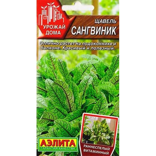 Щавель Сангвиник Аэлита артикул фото 1 Щавель Сангвиник Аэлита изображение 1 артикул 98806