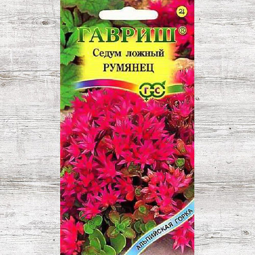 Седум Румянец Гавриш изображение 1 артикул 71104