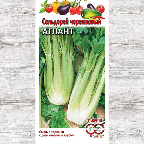 Сельдерей черешковый Атлант Гавриш артикул фото 1 Сельдерей черешковый Атлант Гавриш изображение 1 артикул 82264