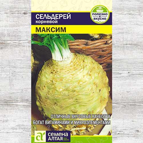 Сельдерей корневой Максим артикул фото 1 Сельдерей корневой Максим изображение 1 артикул 81566