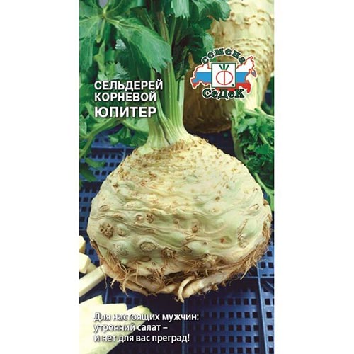 Сельдерей корневой Юпитер Седек изображение 1 артикул 93560