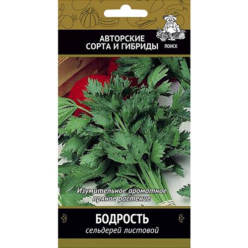 Сельдерей листовой Бодрость Поиск изображение 1 артикул 92813