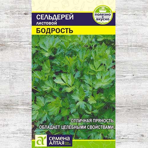 Сельдерей листовой Бодрость изображение 1 артикул 81568