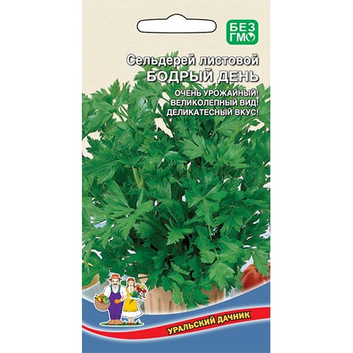 Сельдерей листовой Бодрый день Уральский дачник изображение 1 артикул 94699