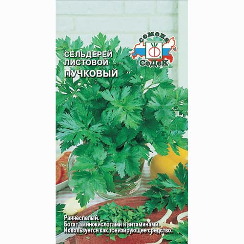 Сельдерей листовой Пучковый Седек изображение 1 артикул 71677