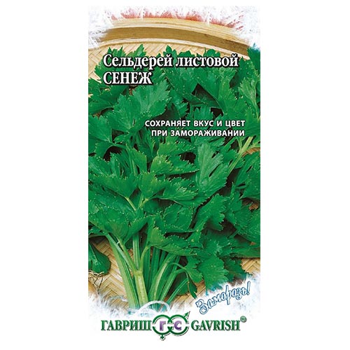Сельдерей листовой Сенеж Гавриш изображение 1 артикул 91841
