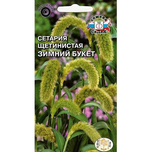 Сетария щетинистая Зимний букет Седек изображение 1 артикул 93969