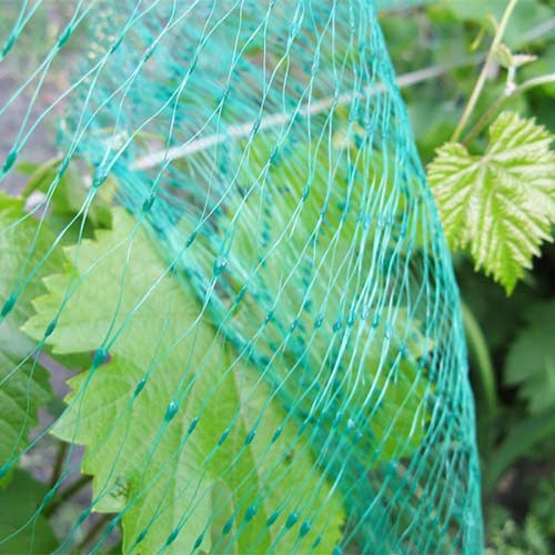 Сетка универсальная защитная от ожогов, града и птиц ( 4м х 2м) изображение 1 артикул 85510