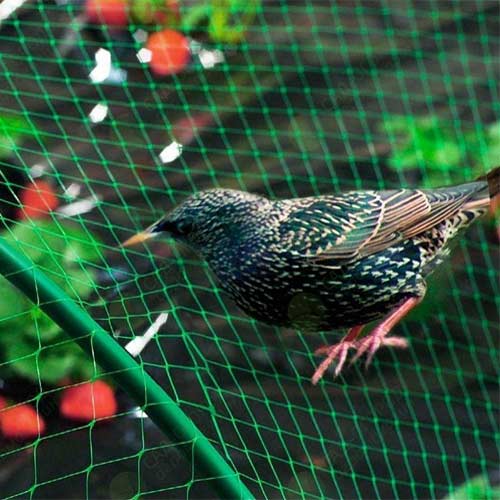 Сетка универсальная защитная от ожогов, града и птиц ( 4м х 6м) изображение 1 артикул 85511