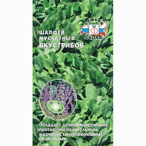 Шалфей мускатный Вкус грибов Седек изображение 1 артикул 84915