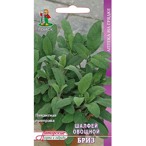 Шалфей овощной Бриз Поиск изображение 1 артикул 92834
