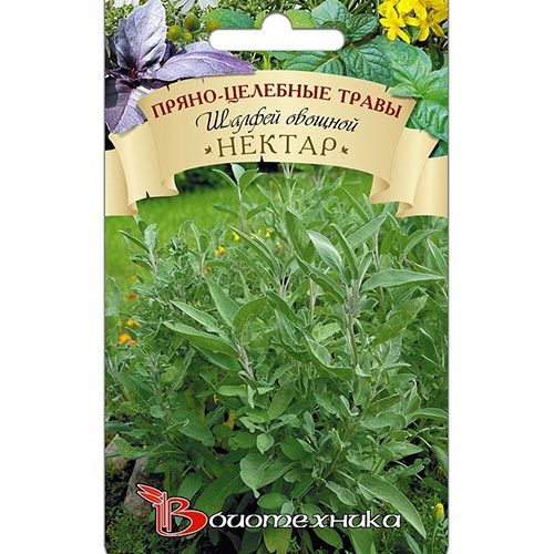 Шалфей овощной Нектар Биотехника изображение 1 артикул 91538