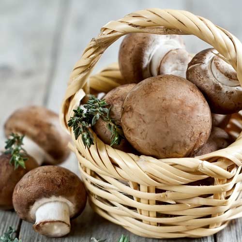 Портобелло изображение 1 артикул 9754