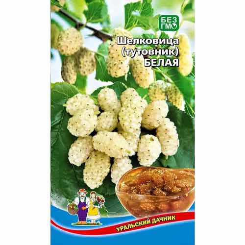 Шелковица (тутовник) Белая Уральский дачник изображение 1 артикул 40713