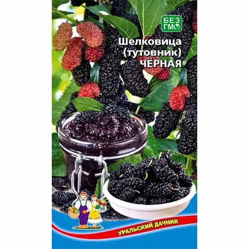 Шелковица (тутовник) Черная Уральский дачник изображение 1 артикул 40714