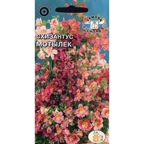 Схизантус Мотылек, смесь окрасок Седек изображение 1 артикул 93980