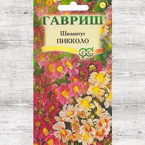 Шизантус перистый Пикколо Гавриш артикул фото 1 Шизантус перистый Пикколо Гавриш изображение 1 артикул 73933