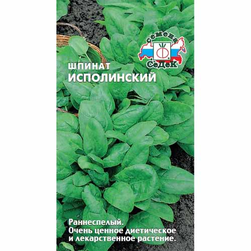 Шпинат Исполинский Седек артикул фото 1 Шпинат Исполинский Седек изображение 1 артикул 40542