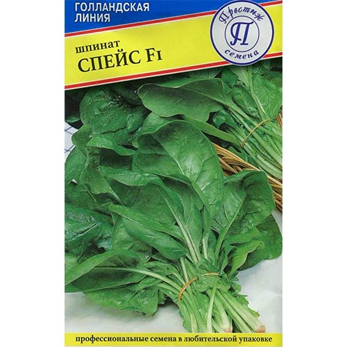Шпинат Спейс F1 артикул фото 1 Шпинат Спейс F1 изображение 1 артикул 71309
