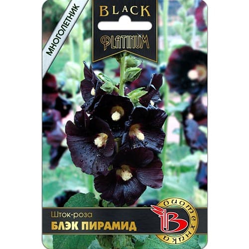 Шток-роза Блэк Пирамид Биотехника изображение 1 артикул 91610