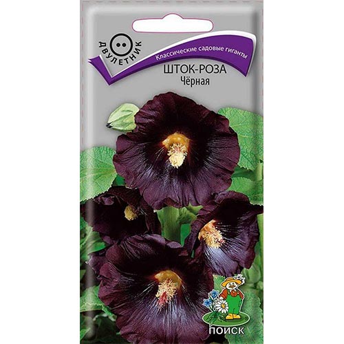 Шток-роза Черная Поиск изображение 1 артикул 93172