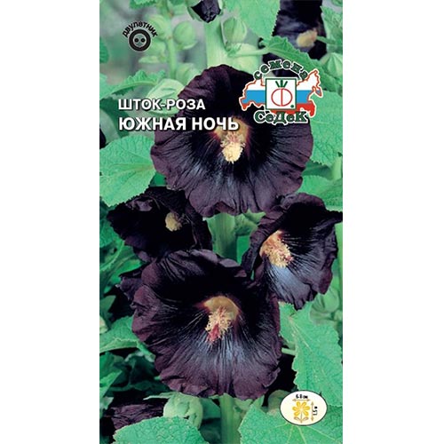 Шток-роза Южная ночь Седек изображение 1 артикул 94015